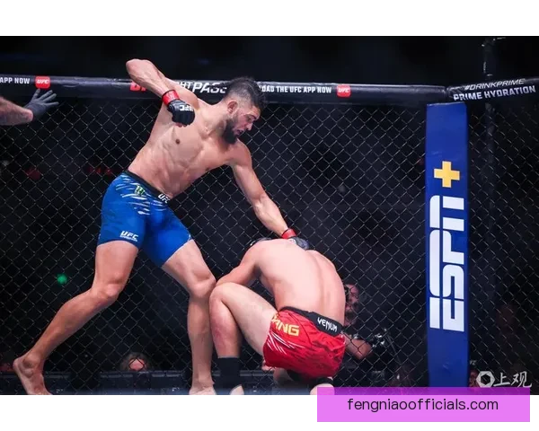 南锡大胜查隆萨尼102比80展现强劲攻防实力再创精彩表现佳绩