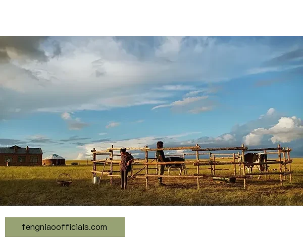 波拉特利四季变幻与库科切梅切的文化交织探秘